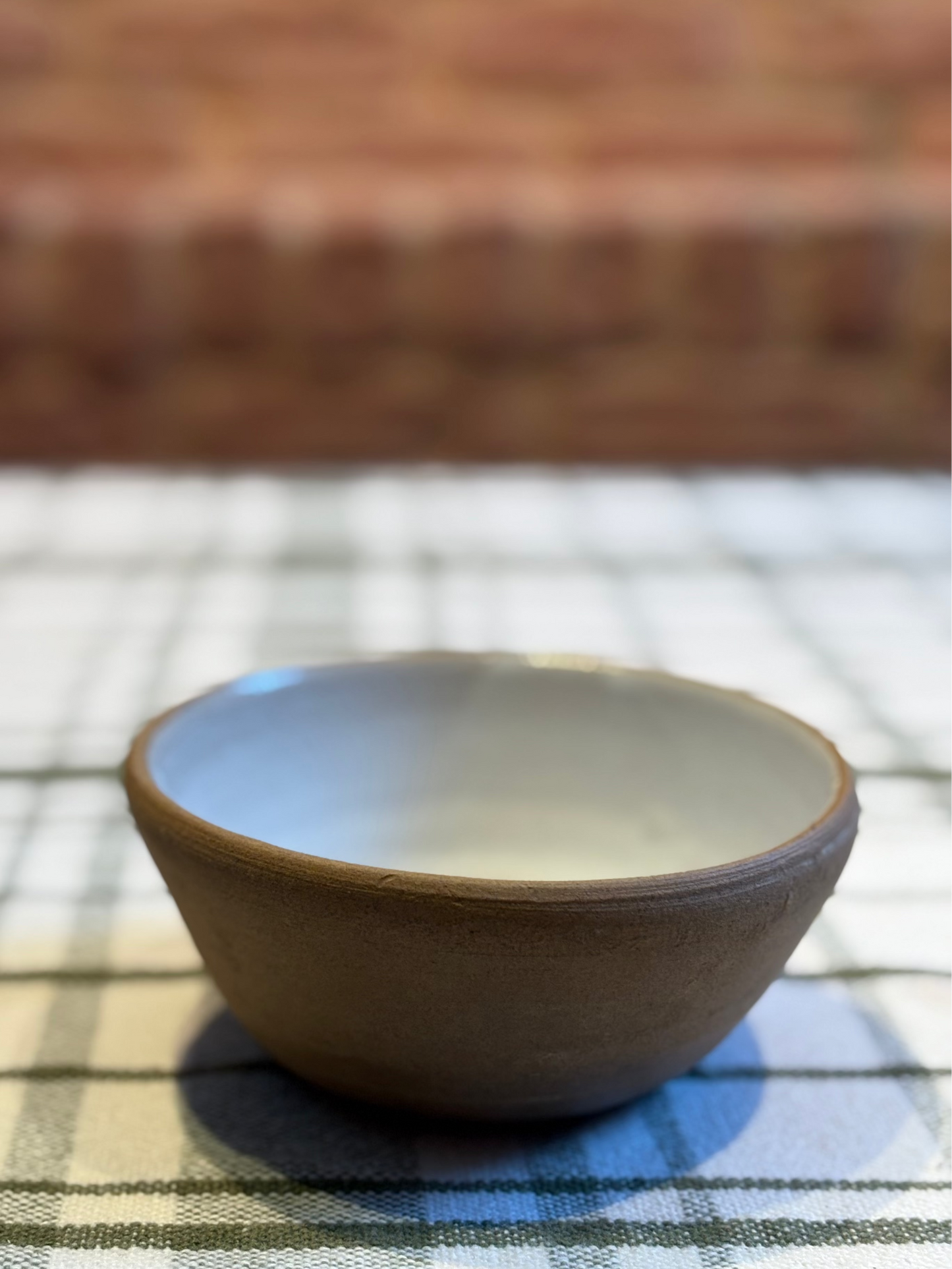 Bowl Terra