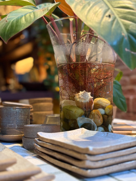 Bundle Pratos de Servir Japa