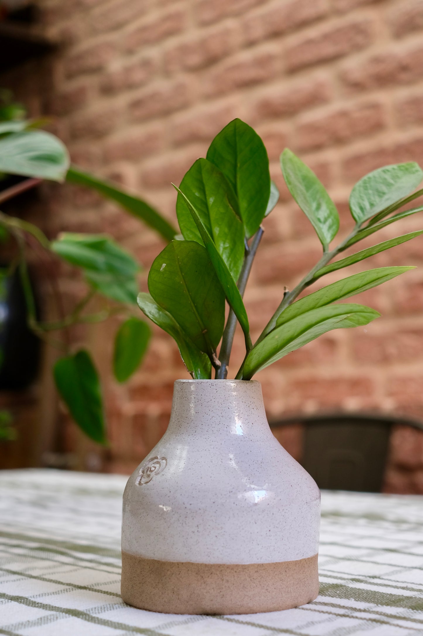 Vaso Planta Médio