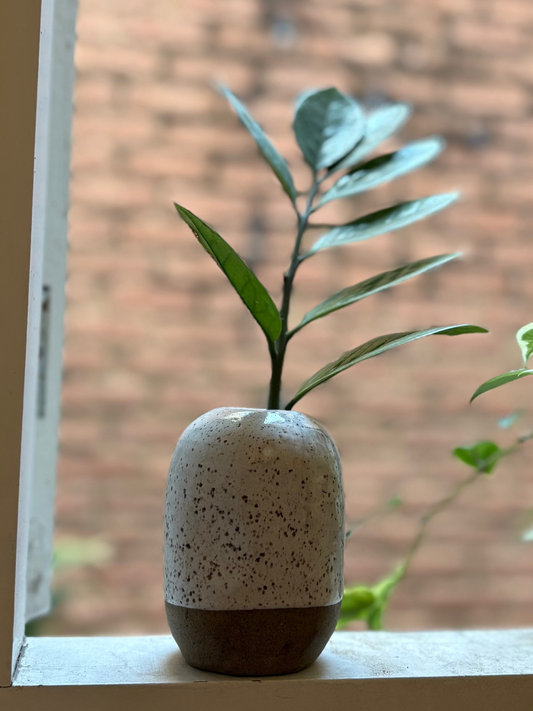 Vaso Planta Pequeno