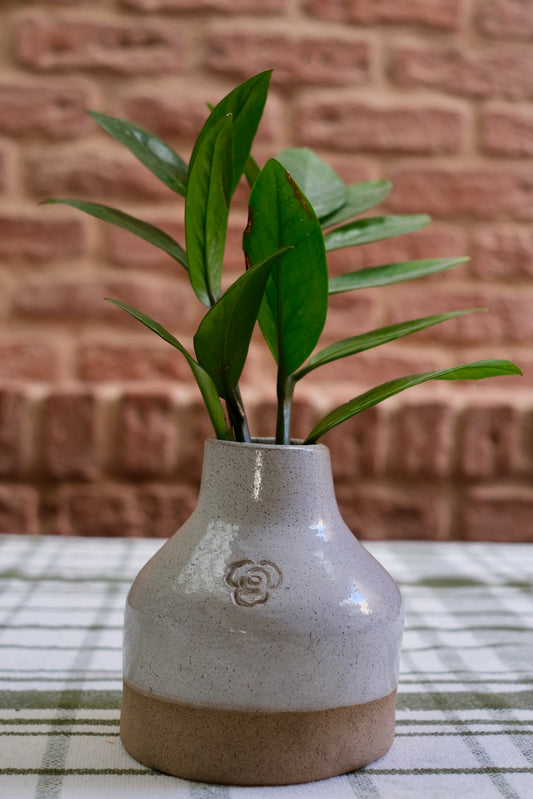 Vaso Planta Médio