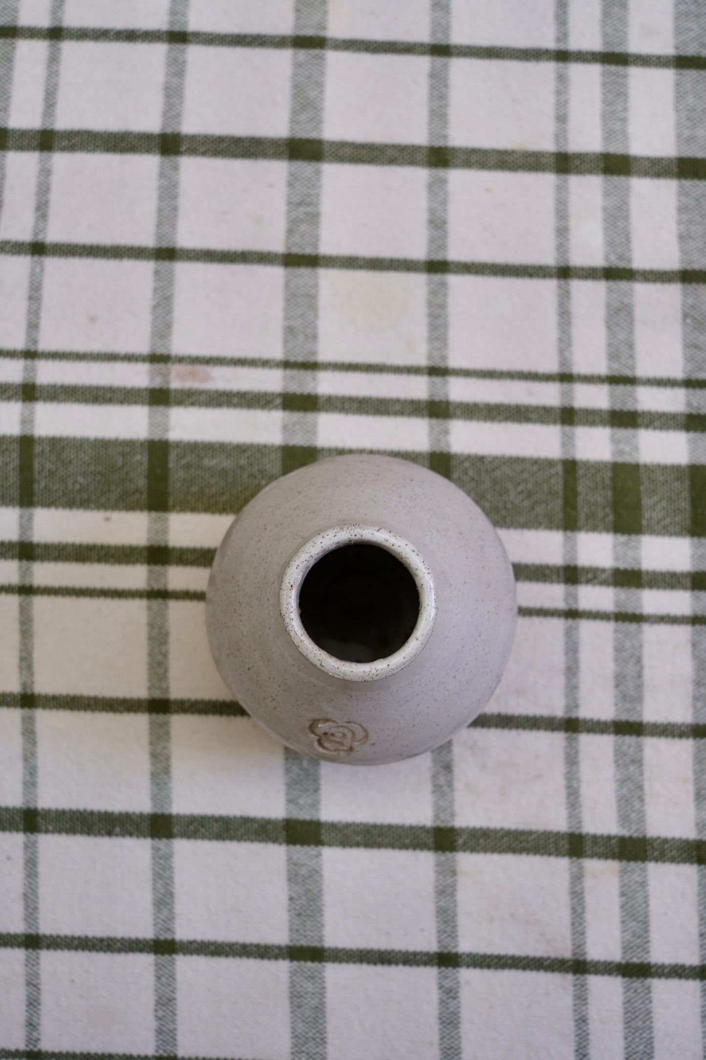 Vaso Planta Médio